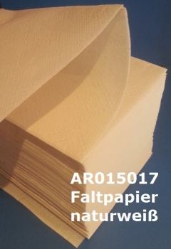 Papierhandtücher 2-lagig, 24 x 23 cm (Zick-Zack-Falz, 3200 Blatt, naturweiß)